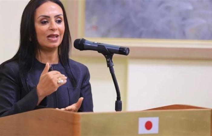 التضامن الاجتماعي: خطوط الوزارة الساخنة تستقبل ما يزيد على 153 ألف اتصال