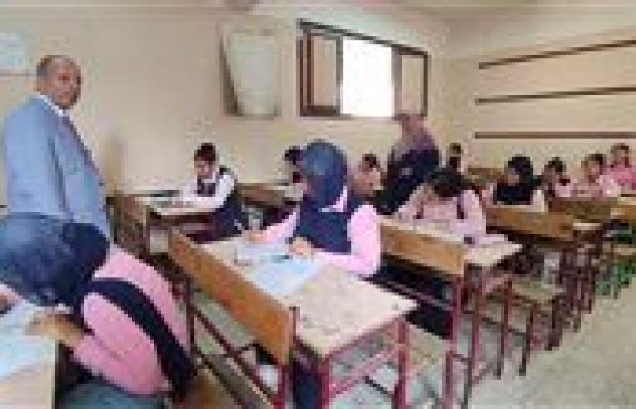 رابط تحميل كتاب الأداءات والتقييمات لغة عربية للصف الرابع الابتدائي ترم أول 2026