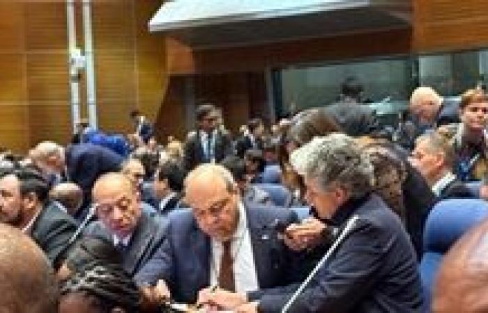 فوز متميز لجمهورية مصر العربية في انتخابات مجلس «الإيكاو» عن الفئة الثانية