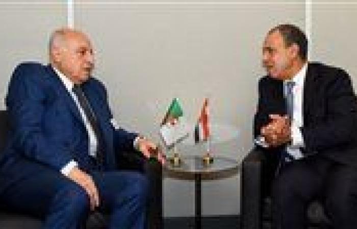 وزير الخارجية يبحث مع نظيره الجزائري سبل تعزيز التعاون الثنائي بين البلدين