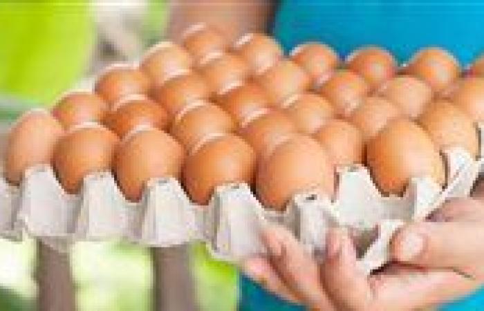 أسعار طبق البيض اليوم السبت 27-9-2025 في قنا