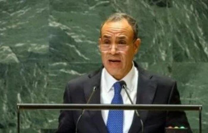 وزير الخارجية: مستعدون للاحتكام للقضاء بشأن سد النهضة ولن نتهاون في حقوقنا