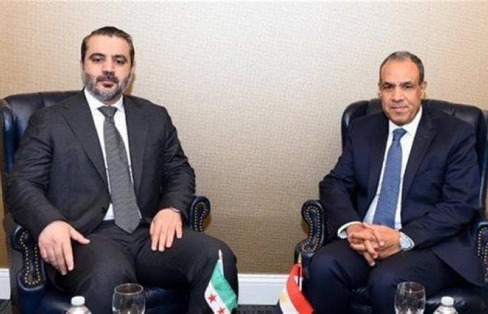 وزير الخارجية يؤكد لنظيره السوري رفض مصر القاطع للانتهاكات المتكررة للسيادة السورية