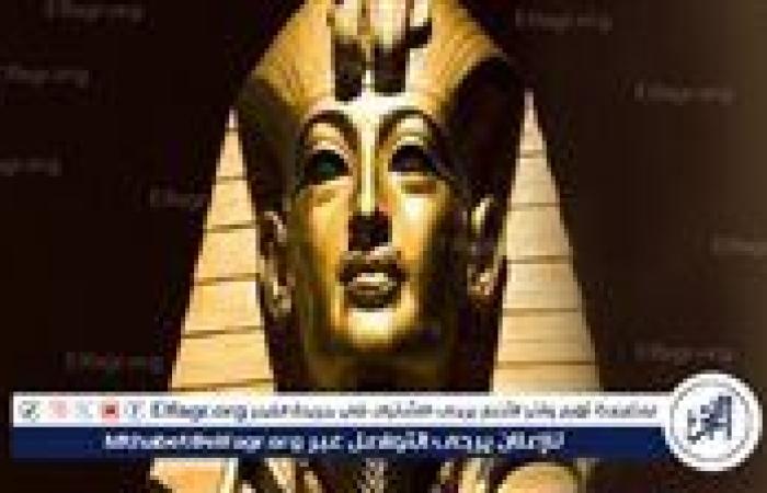 9 شروط وضعها القانون للحصول على ترخيص مزاولة العمل كمرشد سياحي