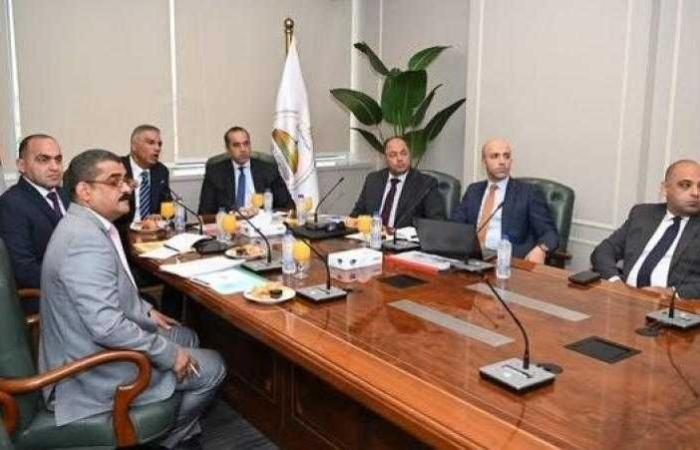 المستشار محمود فوزي يستقبل محافظ أسوان ورئيس هيئة تنمية الصعيد لبحث آخر مستجدات ملف تعويضات أهالي النوبة
