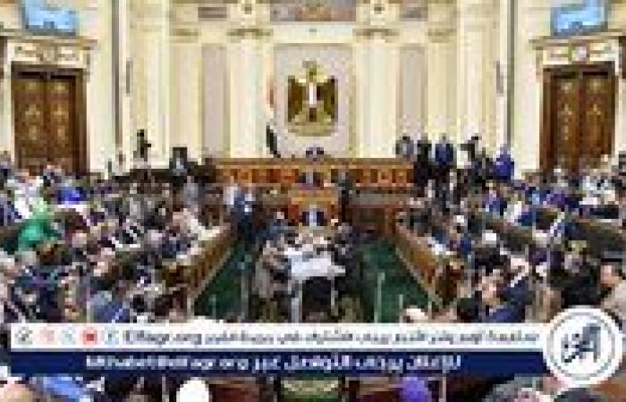 7 اختصاصات للجنة الشئون العربية بمجلس النواب.. تعرف عليها