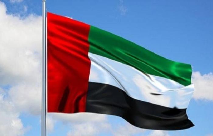 الإمارات: مطلبنا الأول والعاجل هو وقف إطلاق نار فوري ودائم في غزة وإنهاء الحصار