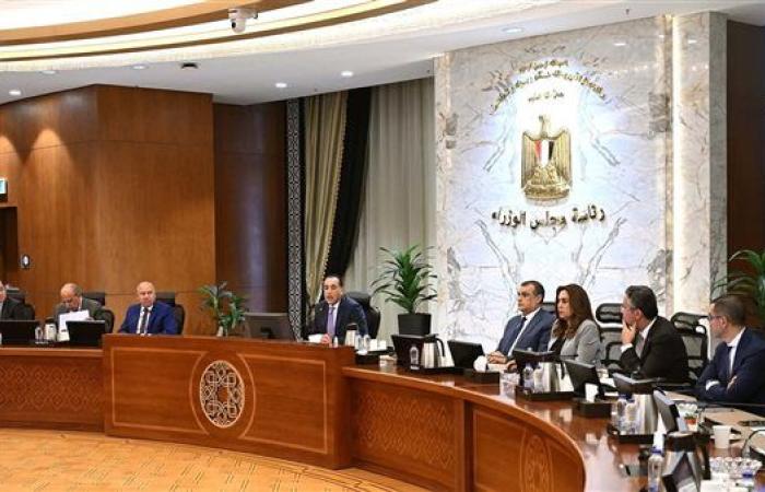 مدبولي: نسعى لجعل مصر مركزا إقليميا لصناعة الحديد والصلب