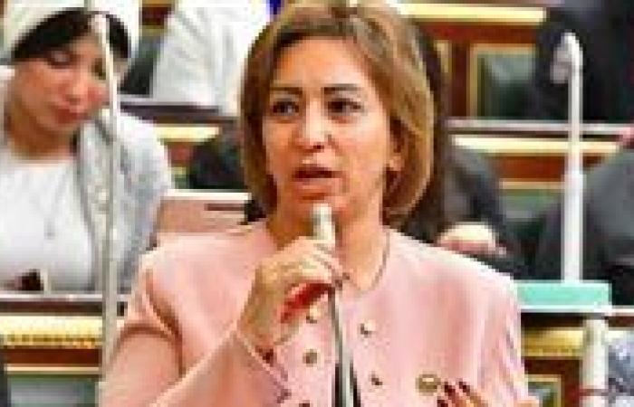 الحزب المصري الديمقراطي: نخوض انتخابات مجلس النواب بـ 30 مرشحًا فرديًا.. ونعد بحلول واقعية للمشاكل العامة