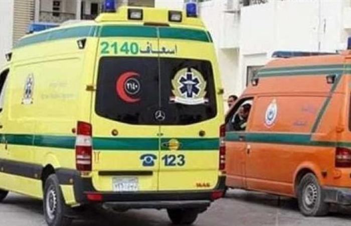 مصرع شخصين وإصابة 10 في انقلاب ميكروباص بالطريق الغربي بالفيوم
