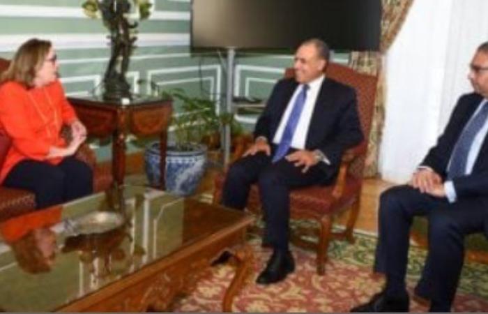 وزير الخارجية يستقبل مدير عام القوة متعددة الجنسيات بسيناء