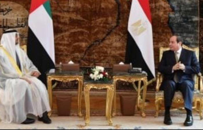 رئيس الإمارات يشيد بالجهود المبذولة لتعزيز بيئة الأعمال وجذب الاستثمارات فى مصر