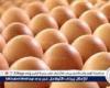 أسعار طبق البيض اليوم الأحد 6-7-2025 في قنا